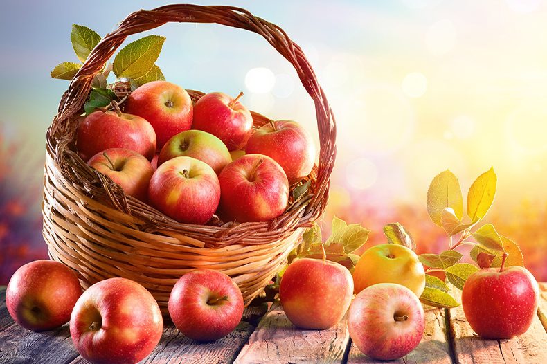 Voćarstvo je značajan izvor prihoda za privredu